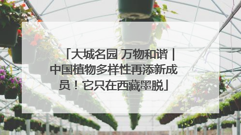 大城名园 万物和谐｜中国植物多样性再添新成员！它只在西藏墨脱